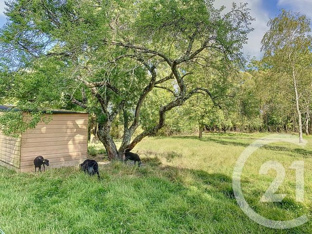 maison à vendre - 8 pièces - 190.0 m2 - TONNAY CHARENTE - 17 - POITOU-CHARENTES - Century 21 L'Arsenal