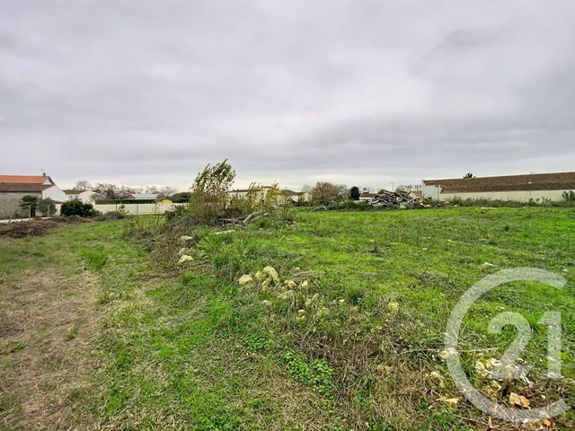 terrain à vendre - 5570.0 m2 - CHAMBON - 17 - POITOU-CHARENTES - Century 21 L'Arsenal