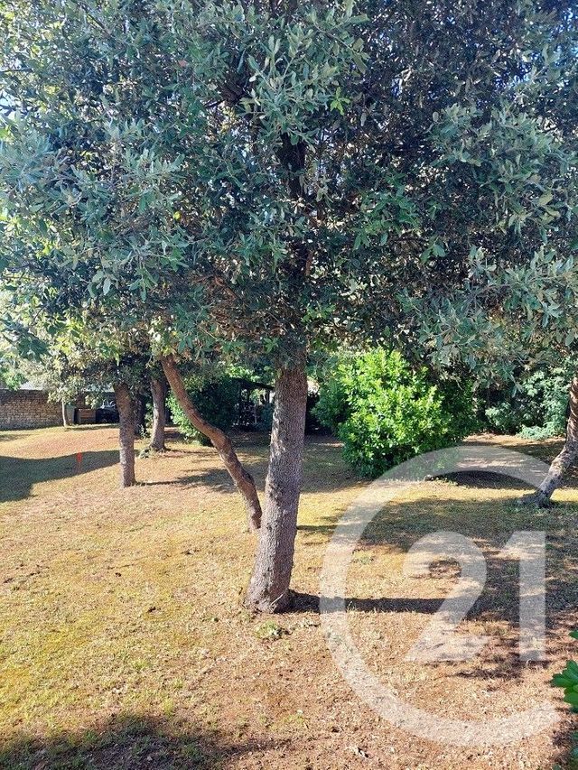 terrain à vendre - 363.0 m2 - ST TROJAN LES BAINS - 17 - POITOU-CHARENTES - Century 21 L'Arsenal