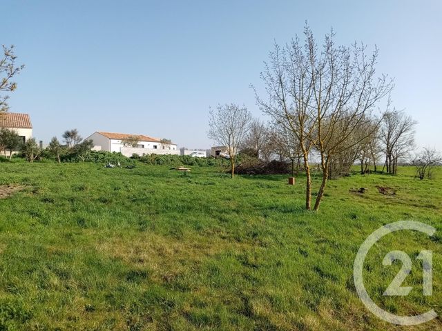 Afficher la photo en grand terrain à vendre - 714.0 m2 - BEAUGEAY - 17 - POITOU-CHARENTES - Century 21 L'Arsenal