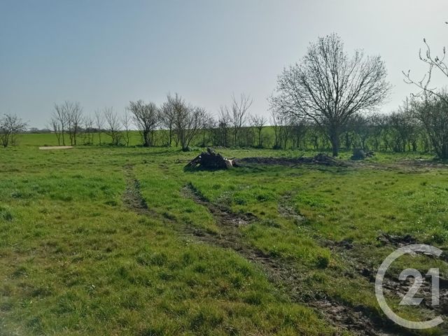 Afficher la photo en grand terrain à vendre - 714.0 m2 - BEAUGEAY - 17 - POITOU-CHARENTES - Century 21 L'Arsenal