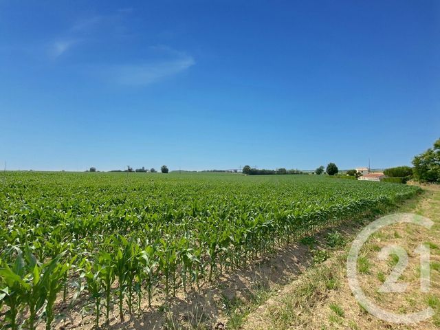 maison à vendre - 6 pièces - 132.0 m2 - ECHILLAIS - 17 - POITOU-CHARENTES - Century 21 L'Arsenal