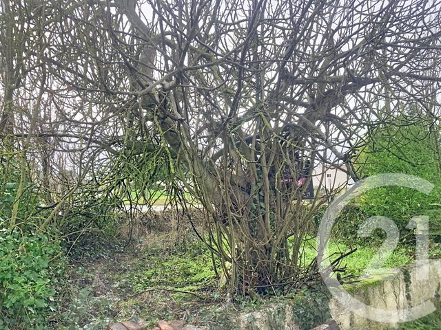 maison à vendre - 3 pièces - 76.0 m2 - ST NAZAIRE SUR CHARENTE - 17 - POITOU-CHARENTES - Century 21 L'Arsenal