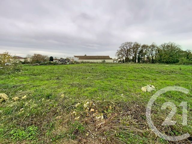 terrain à vendre - 5570.0 m2 - CHAMBON - 17 - POITOU-CHARENTES - Century 21 L'Arsenal